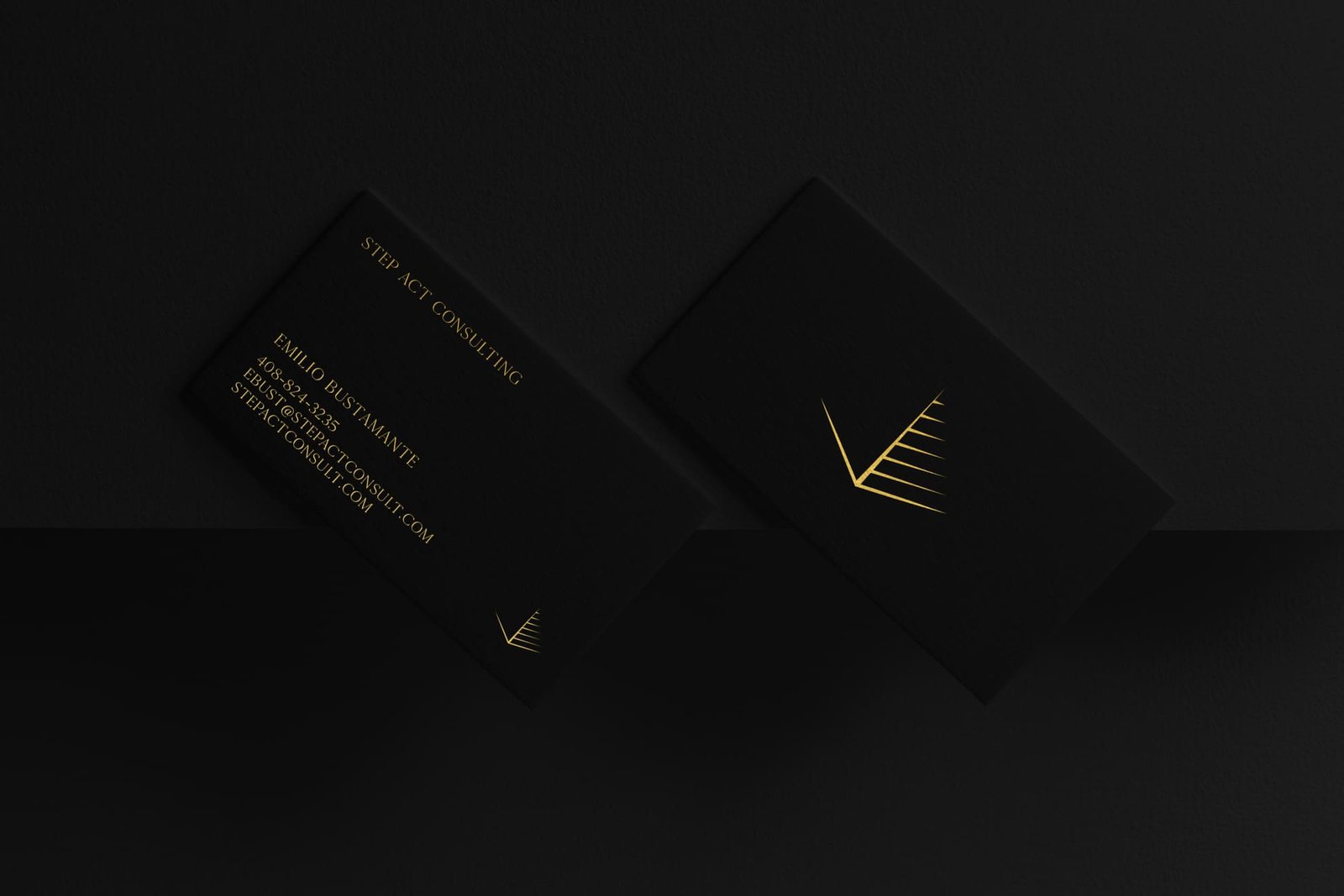 Premium black business card design from the BCD portfolio